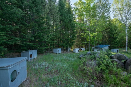 Maine Country Camp for Sale in Elm Stream TWP - image 5
