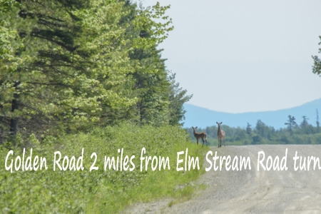 Maine Country Camp for Sale in Elm Stream TWP - image 18