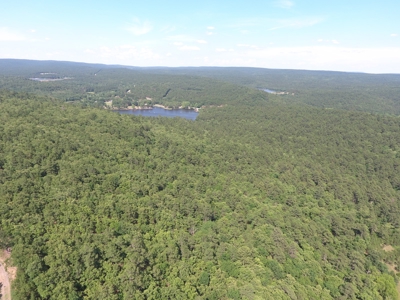 Hunting Land for Sale Southeast Oklahoma- Wilburton, Ok - image 8