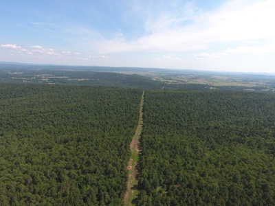 Hunting Land for Sale Southeast Oklahoma- Wilburton, Ok - image 9