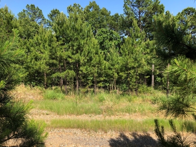 Hunting Land for Sale Southeast Oklahoma- Wilburton, Ok - image 13