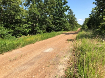 Hunting Land for Sale Southeast Oklahoma- Wilburton, Ok - image 10