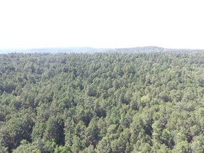 Hunting Land for Sale Southeast Oklahoma- Wilburton, Ok - image 2