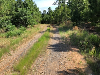 Hunting Land for Sale Southeast Oklahoma- Wilburton, Ok - image 12