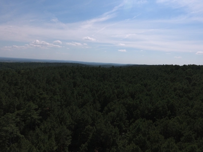 Hunting Land for Sale Southeast Oklahoma- Wilburton, Ok - image 4