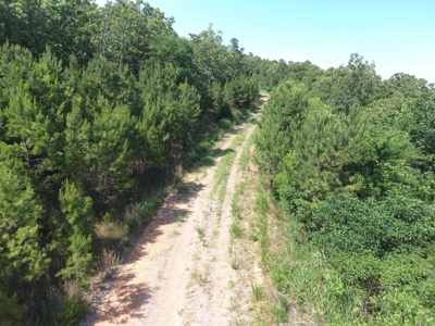 Hunting Land for Sale Southeast Oklahoma- Wilburton, Ok - image 5