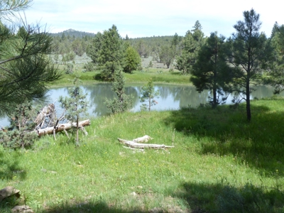 Eastern Oregon Hunters Oasis - Malheur Forest