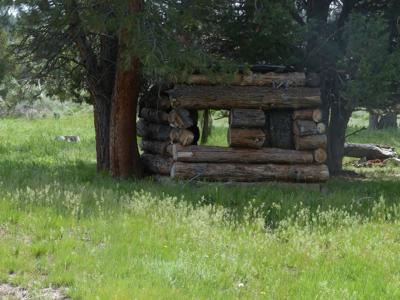 Eastern Oregon Hunters Oasis - Malheur Forest - image 10