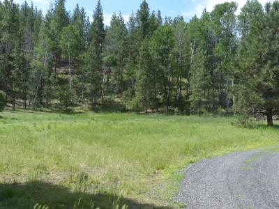 Eastern Oregon Hunters Oasis - Malheur Forest - image 17