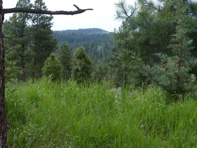 Eastern Oregon Hunters Oasis - Malheur Forest - image 6