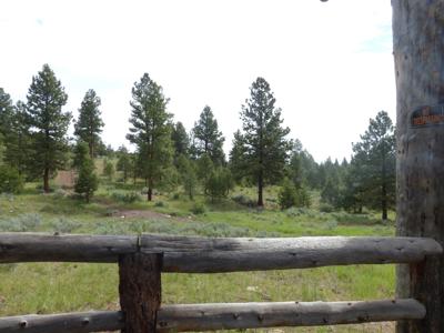 Eastern Oregon Hunters Oasis - Malheur Forest - image 5