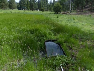 Eastern Oregon Hunters Oasis - Malheur Forest - image 12