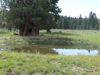 Eastern Oregon Hunters Oasis - Malheur Forest - image 9