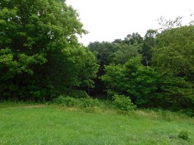 Country Home For Sale in Slanesville, WV - image 4