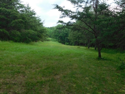 Country Home For Sale in Slanesville, WV - image 11