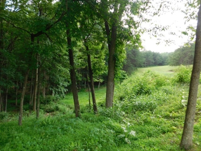 Country Home For Sale in Slanesville, WV - image 7