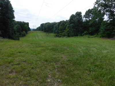 Country Home For Sale in Slanesville, WV - image 42