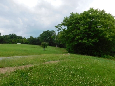 Country Home For Sale in Slanesville, WV - image 3