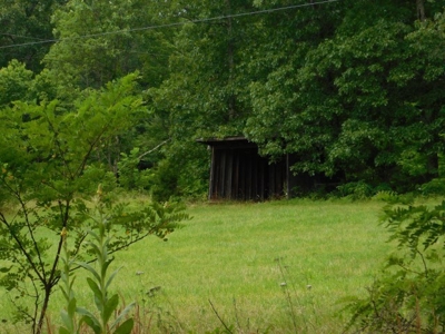 Country Home For Sale in Slanesville, WV - image 39