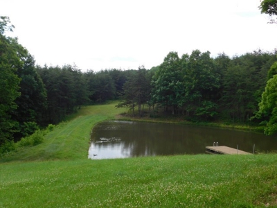 Country Home For Sale in Slanesville, WV - image 1
