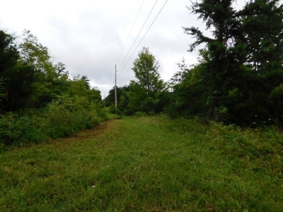 Country Home For Sale in Slanesville, WV - image 44