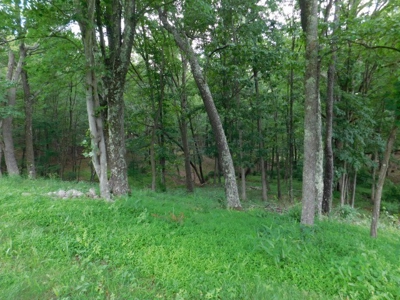 Country Home For Sale in Slanesville, WV - image 6