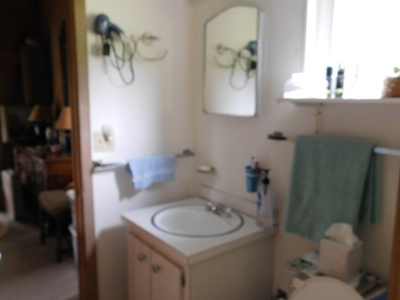 Country Home For Sale in Slanesville, WV - image 27