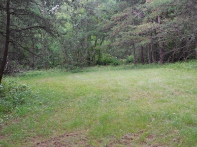 Country Home For Sale in Slanesville, WV - image 10