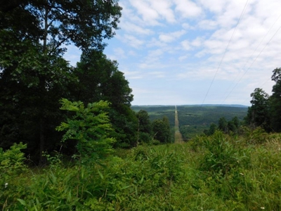 Country Home For Sale in Slanesville, WV - image 41