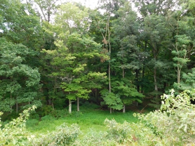 Country Home For Sale in Slanesville, WV - image 47