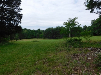 Country Home For Sale in Slanesville, WV - image 40
