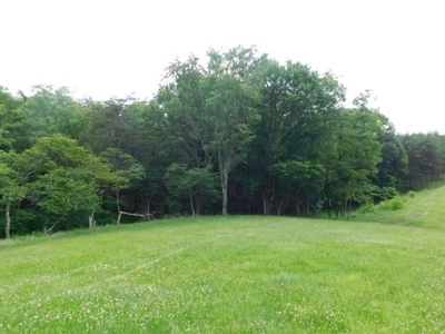 Country Home For Sale in Slanesville, WV - image 2