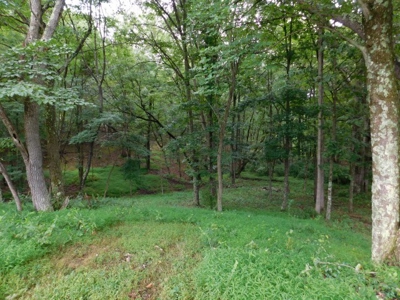 Country Home For Sale in Slanesville, WV - image 46