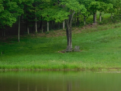 Country Home For Sale in Slanesville, WV - image 12