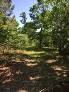 Water Front Property West of Beavers Bend State Park, Oklaho - image 2