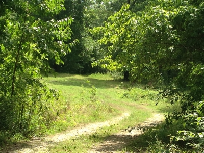 Water Front Property West of Beavers Bend State Park, Oklaho - image 16