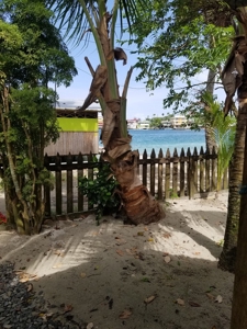 Very affordable Oceanfront Duplex - image 3