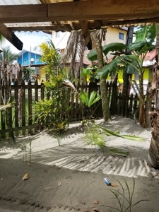 Very affordable Oceanfront Duplex - image 20