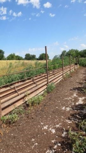 Pastureland with Well, Solar and Working Station - image 7