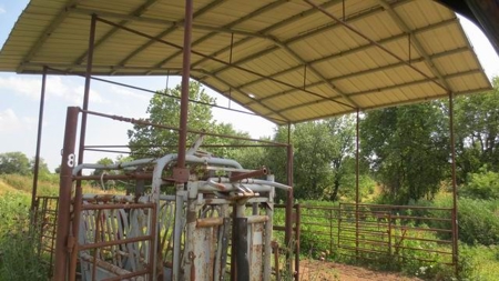 Pastureland with Well, Solar and Working Station - image 5