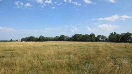 Pastureland with Well, Solar and Working Station - image 2