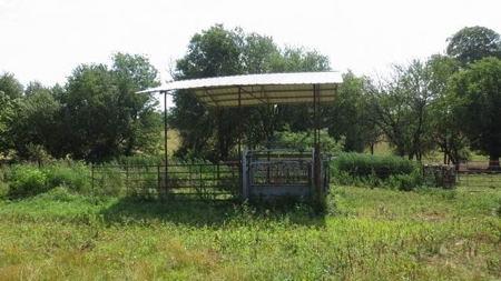 Pastureland with Well, Solar and Working Station - image 4