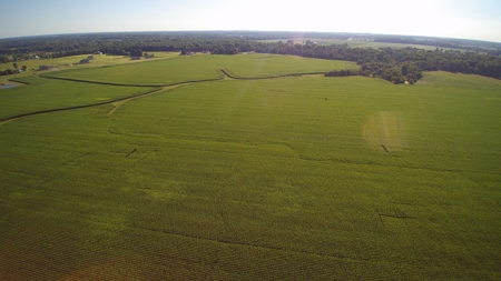 Land for Sale Delaware County For Building Lot - Farm Land - image 5