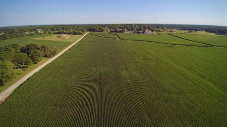Land for Sale Delaware County For Building Lot - Farm Land - image 10