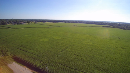 Land for Sale Delaware County For Building Lot - Farm Land - image 9