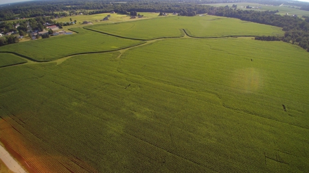 Land for Sale Delaware County For Building Lot - Farm Land - image 8
