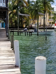 Bed and Breakfast on Beach, Bocas del Toro Panama - image 6