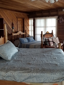 Bed and Breakfast on Beach, Bocas del Toro Panama - image 27