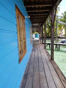 Bed and Breakfast on Beach, Bocas del Toro Panama - image 22
