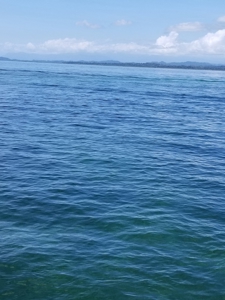 Bed and Breakfast on Beach, Bocas del Toro Panama - image 4